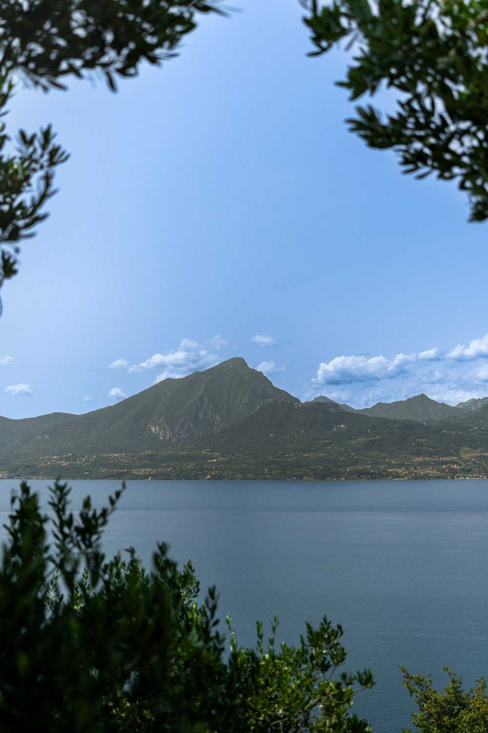 Paesaggio acquatico illustrativo